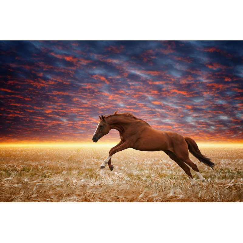 Brown horse running gallop 1 Piece Wrapped Canvas Wall Art, 61cm H x 91cm W