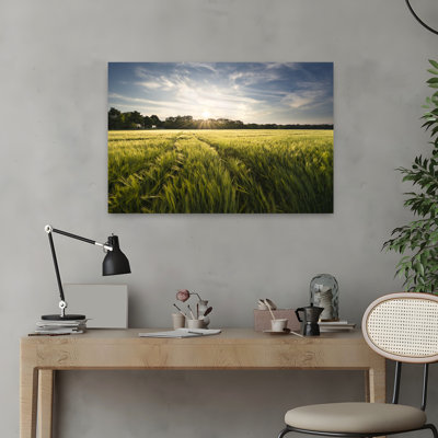 Barley Meadow, paysage abstrait contemporain, art mural