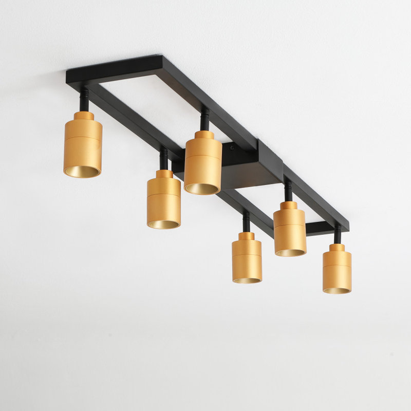 Vidalite Black and Gold Iron Rectangle Semi Flush Mount