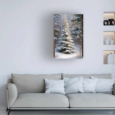 «Wraped Canvas Wall Art - Imagine It Images», art mural pin enneigé 2 pour décor de salon, de chambre à coucher ou de bureau - 16 x 24