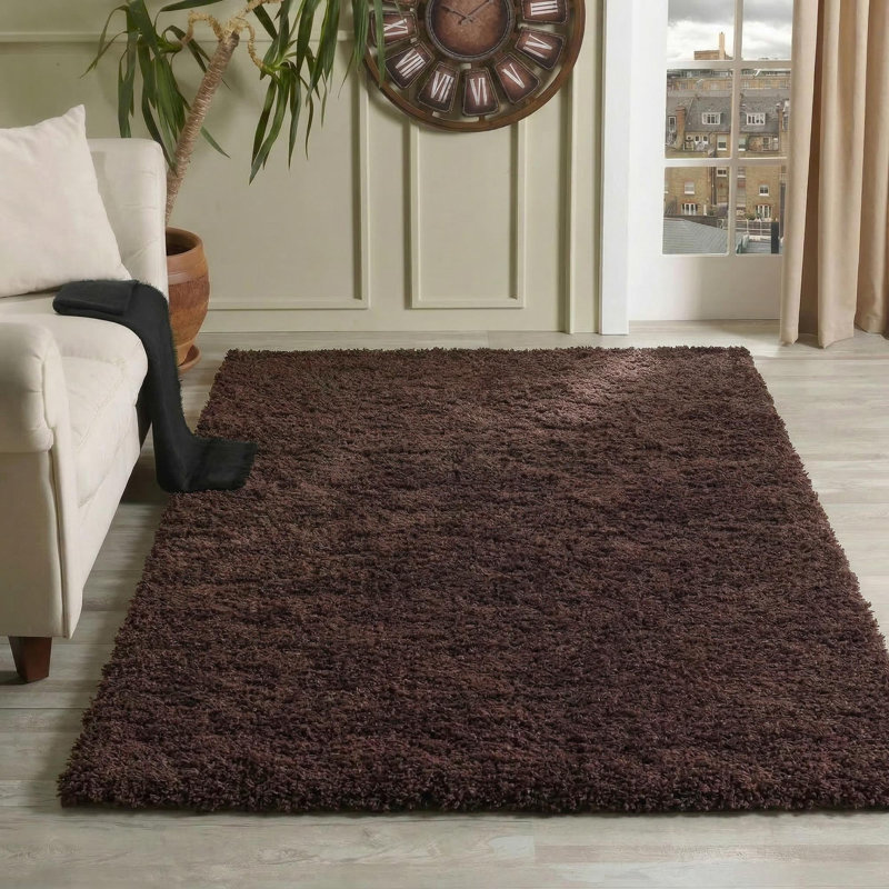 Esterly Brown Shaggy Area Rug, Rectangle 120 x 170cm