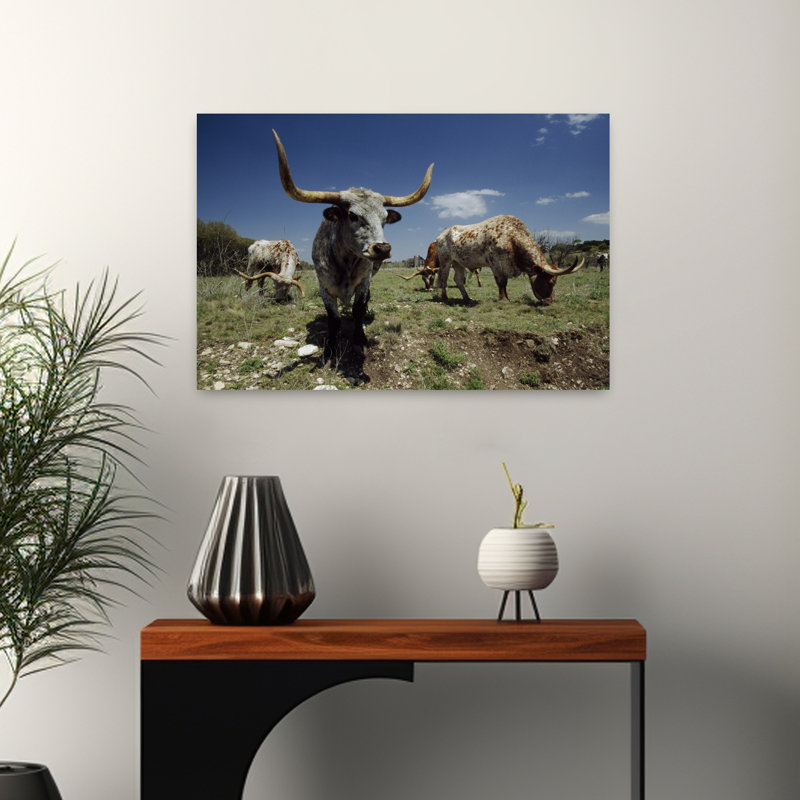 Texas Longhorn Cattle In A Field by Gerald L. French - Wrapped Canvas Print, 40.64 cm H x 60.96 cm W