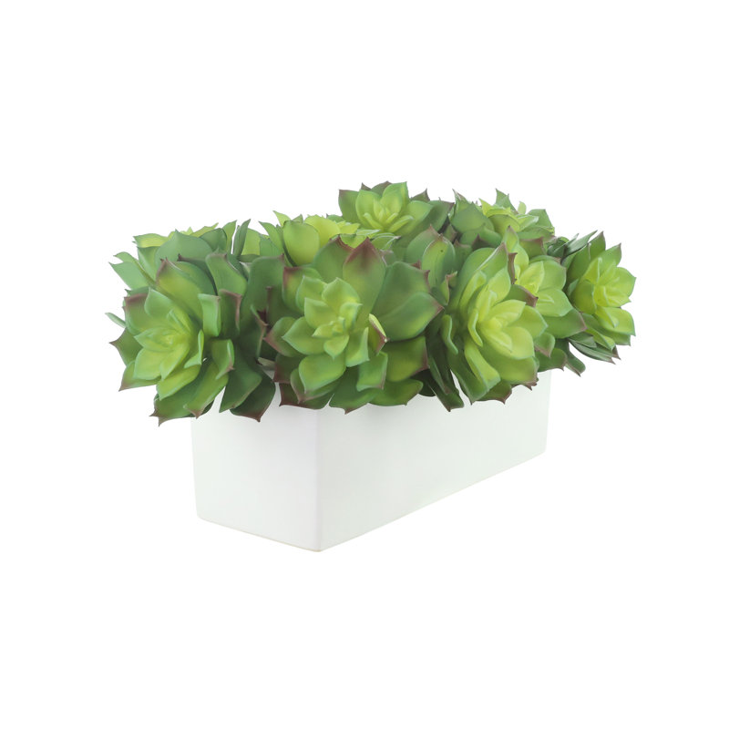Faux Succulent Ceramic, 8" H x 16" W x 10" D