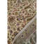 Wool Oriental Area Rug in Ivory