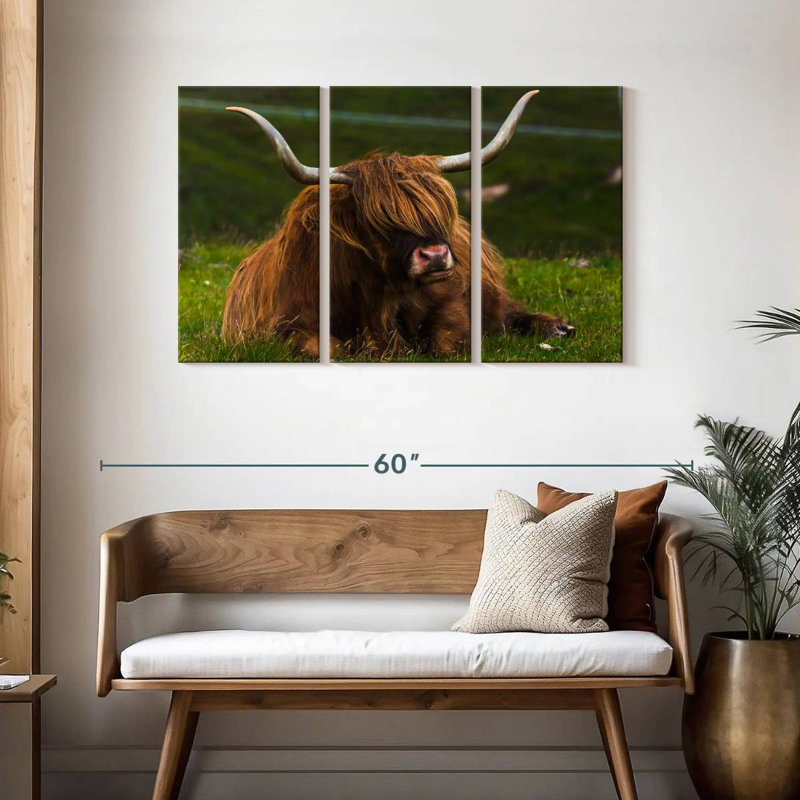 Brampt Highland Cow sur herbe, H 28 po x l 45 po