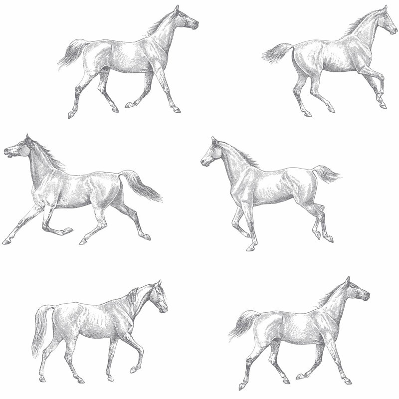 Rouleau de papier peint Catima Horses