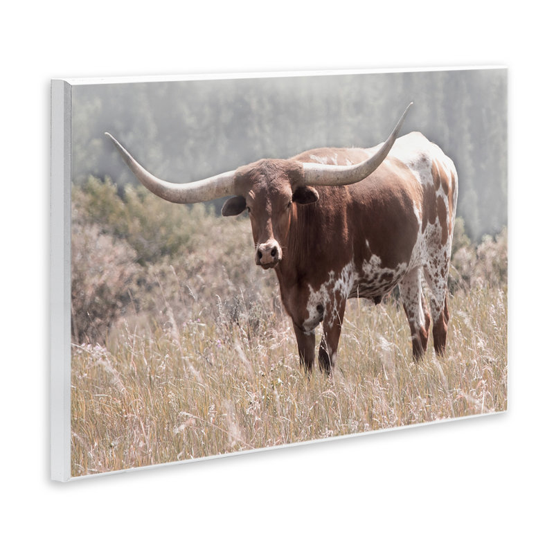 Photographie Texas Longhorn, plaque murale, design par Carol Robinson, H 10 po x l 15 po
