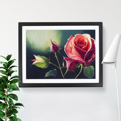 Splendid Rose Flowers - Framed Print