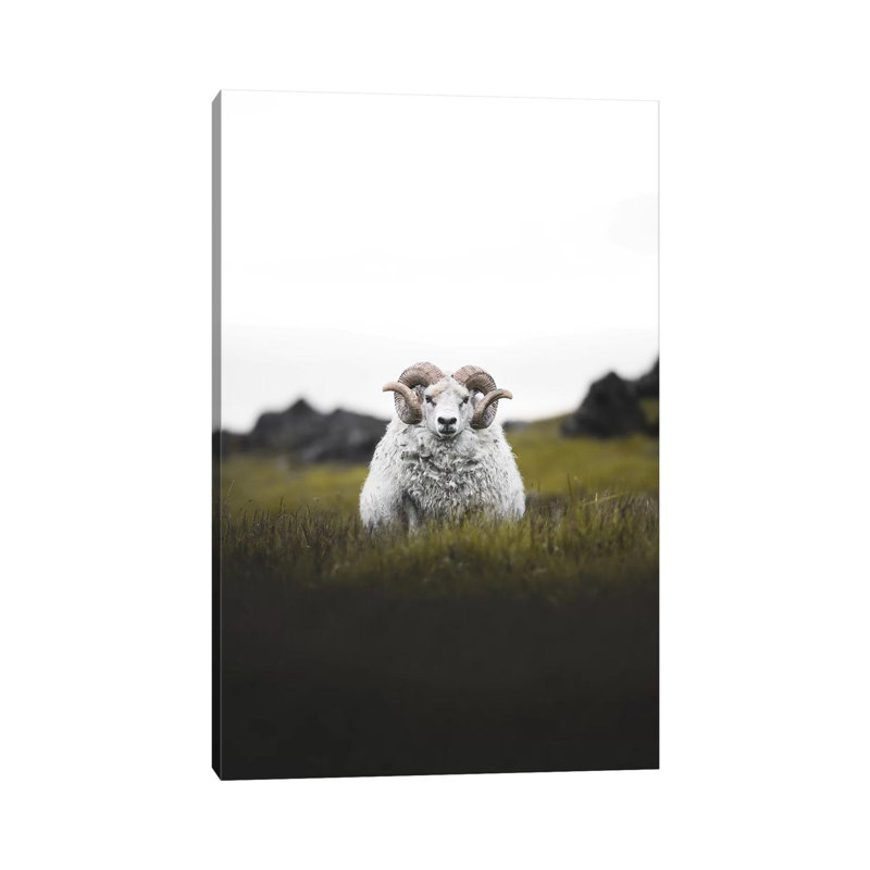 Staredown by Joe Shutter - Print on Canvas, Wrapped Canvas, 101.6 cm H x 66.04 cm W x 3.175 cm D