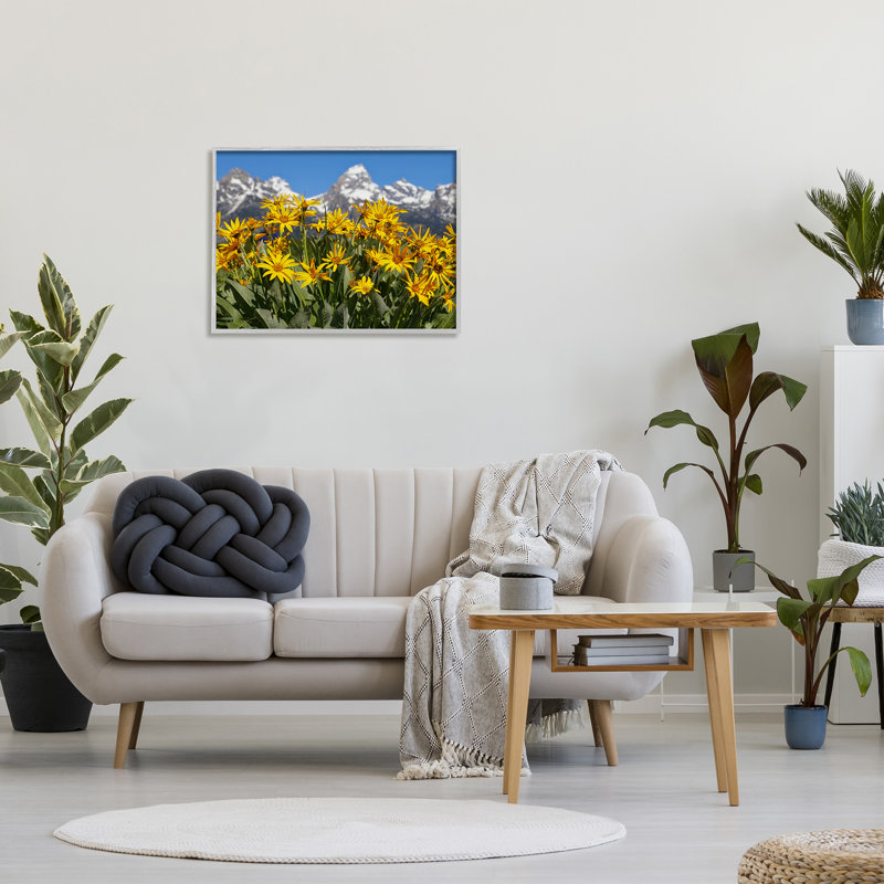 «Daisy Meadow & Mountains» encadré sur bois par Daniel Sproul, Estampe numérique Farmhouse, H 24 po x l 30 po x P 1,5 po