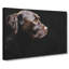 Chocolate Labrador Dog - Wrapped Canvas-61850663
