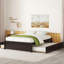 Lit double avec lit gigogne simple et 2 tiroirs - aspect chambre à coucher moderne - Maximiser l'espace en bois massif-347186476