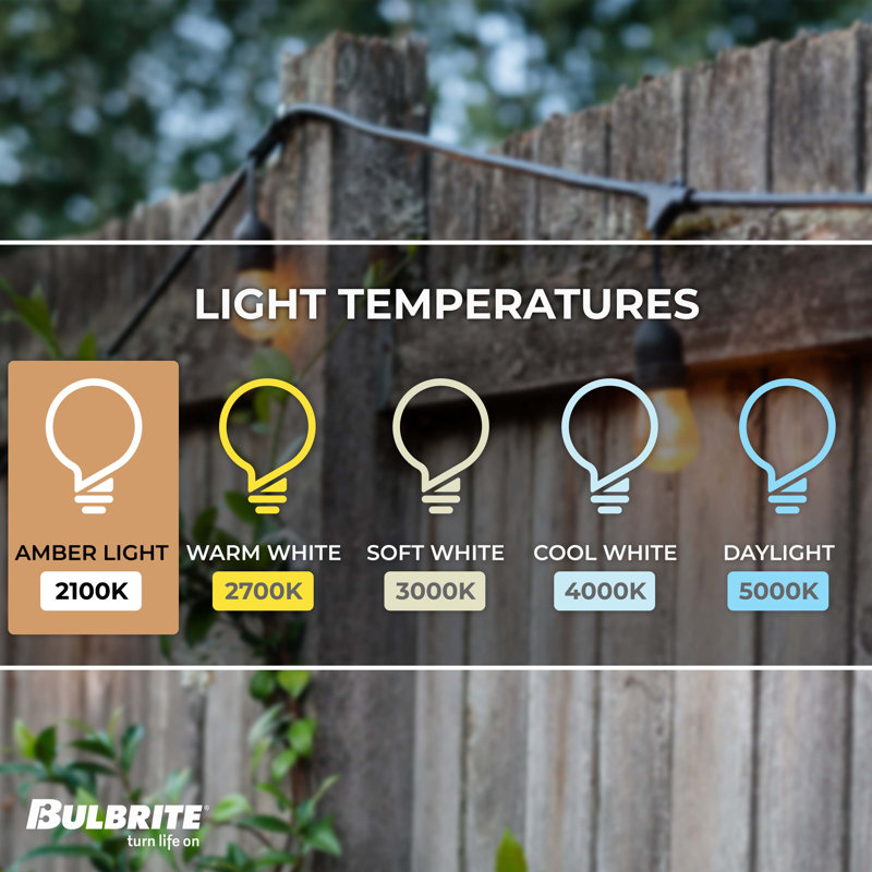 48-ft Outdoor 15 - Bulb Standard Incandescent String Light (End to End Connectable)