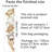 Ionatan Animals Wall Decal
