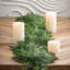 76'' in. Faux Garland