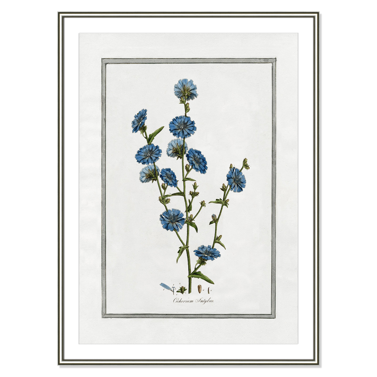 Colombe "Soft Botanical I" Print, 30.75" W x 42.75" H, Silver Framed