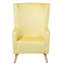 Kizzie Velvet Wingback Chair