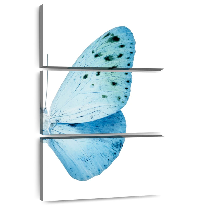 Brampt Miss Butterfly Euploea X-Ray, 50" H x 32" W