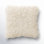 Iyana 20" x 20" Wool Pillow Cover & Insert