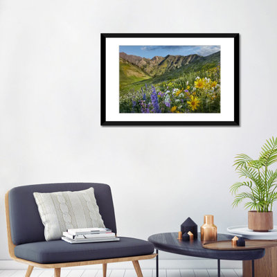 «Larkspur and Sunflowers, Albion Basin, Wasatch Range, Utah», reproduction de photo sur toile