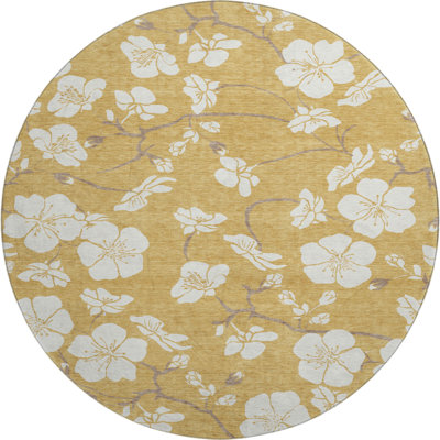 Premium Machine Washable Birchview AMF1032 Floral Rug