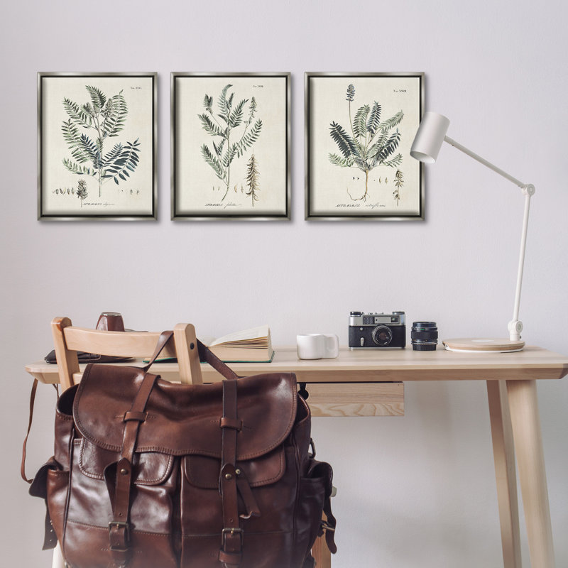 Ensemble de 3 toiles flottantes encadrées Green Botanical, H 21 po x l 17 po, Cadre flottant gris lustré