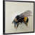 Black Floater Framed is unavailable