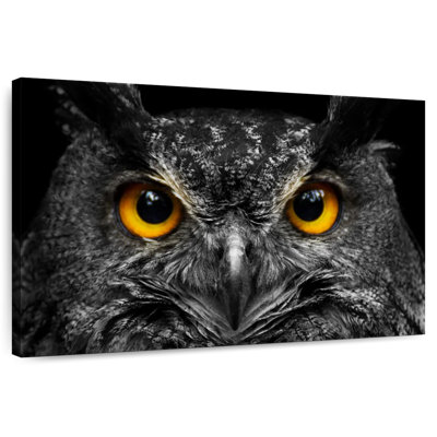 Yellow Eyed Owl