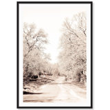 Fall Trail Print by Carly Tabak