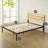 Sanayah Metal Slat Bed-1086153270