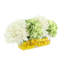 Hydrangeas Arranged in Oval Vase with Lemons