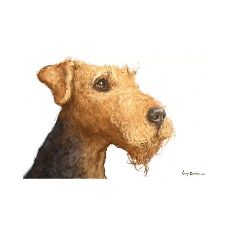 Airedale White Background by George Dyachenko - Painting on Canvas, Wrapped Canvas, 20.32cm H x 30.48cm W x 1.91cm D