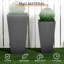 Cement Indoor / Outdoor Pot Planter