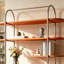 Modern Orange Display Storage Shelf-130116100