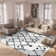 Alieshia Berber Shag Performance Geometric Rug