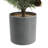 24" Real Touch Pine Tree with Pot, Christmas Decorative