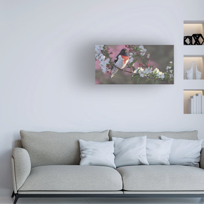 Jeff Hoff Rose Blossoms Canvas Art