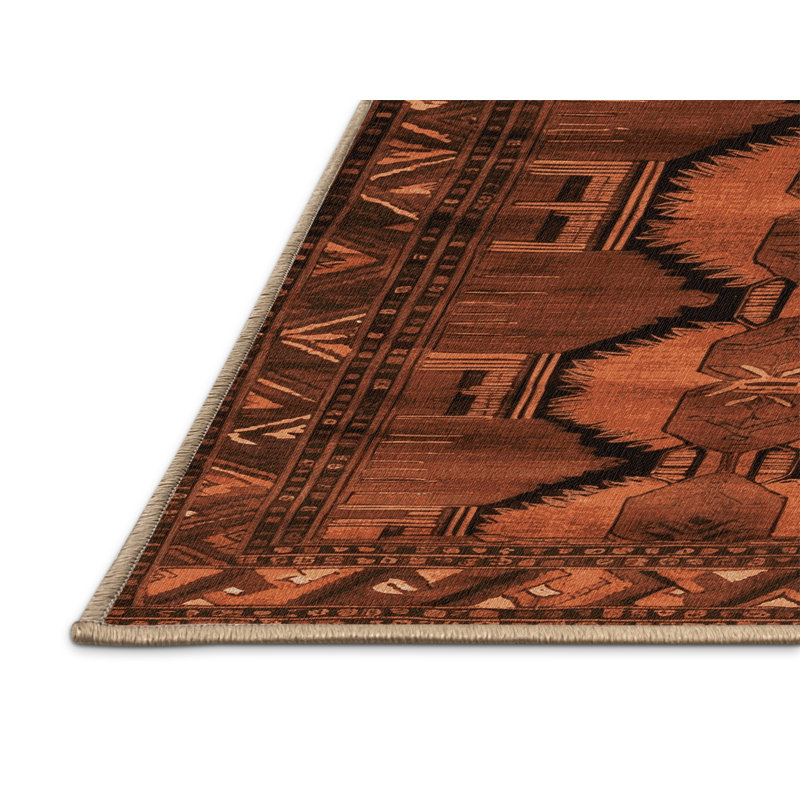 Machine Washable Turkish Brown Area Rug, Rectangle 2' x 3'
