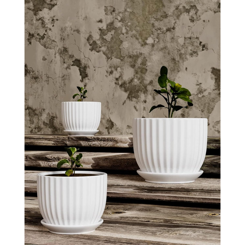Ceramic Planter