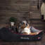 Polyester Pet Bed-1430842059-1430841909