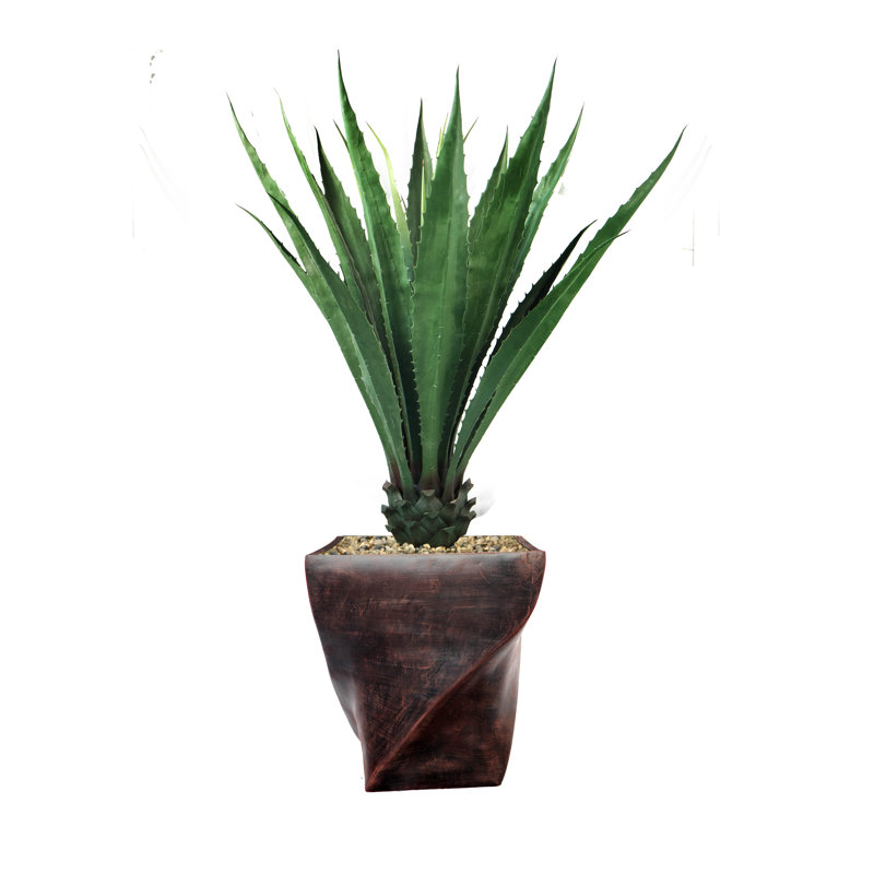 Agave d'intérieur / extérieur Panama en pot, H 60,5 po x l 36 po x P 36 po, Vert foncé