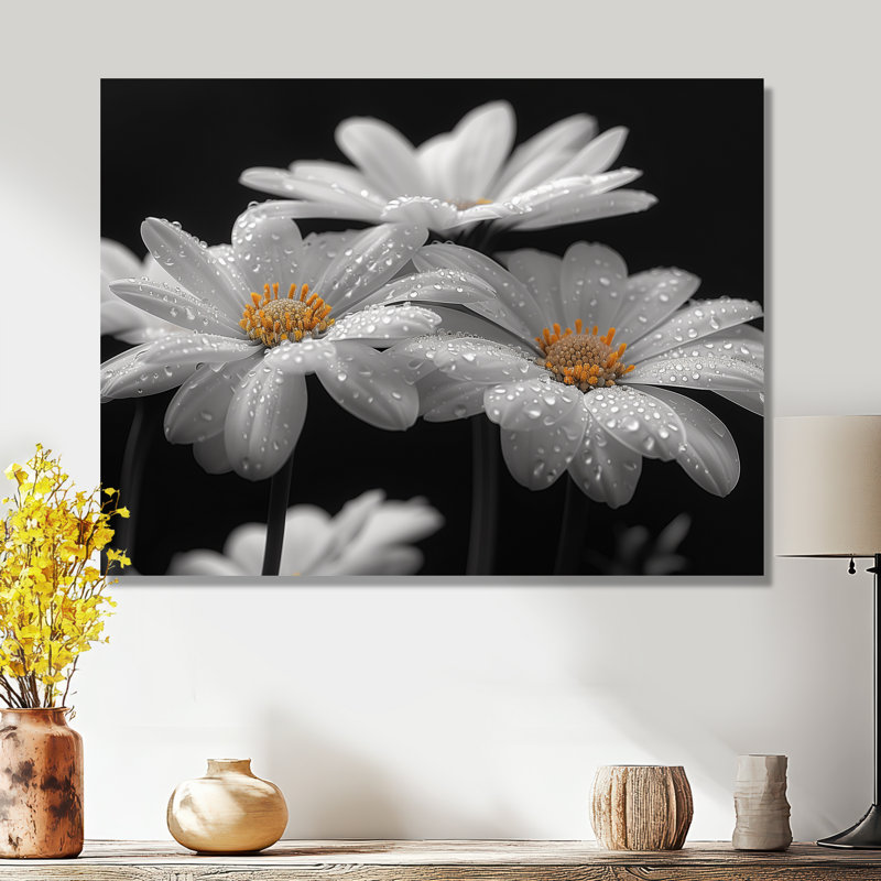 Monochrôme noir et blanc, bonheur, photo III - marguerites, art mural, Métal métal, H 12 po x l 20 po