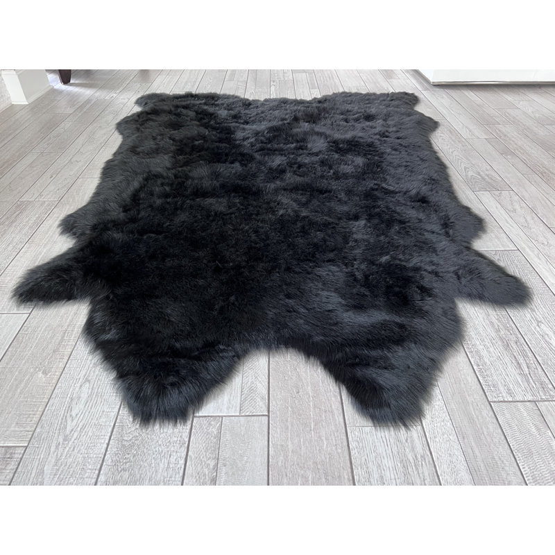 Tapis Novelty Pakin, Nouveauté 8 pi 6 po x 9 pi 6 po