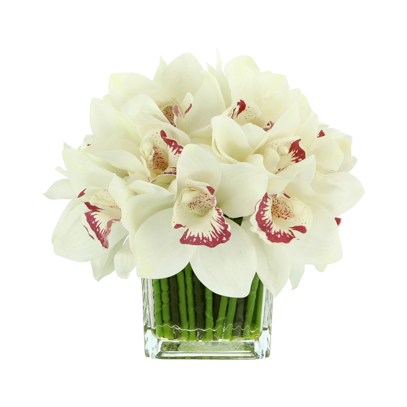 Orchidée Lehn dans un vase en verre, Blanc