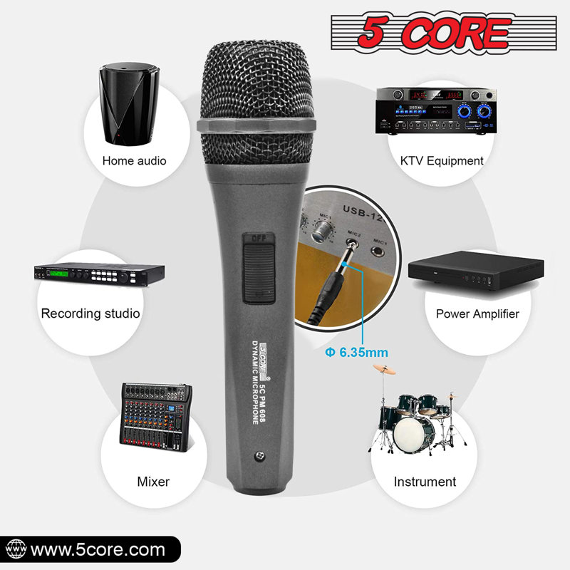 Microphone à 5 cordes XLR Dynamic Karaoke