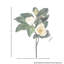 29" Veranda Magnolia