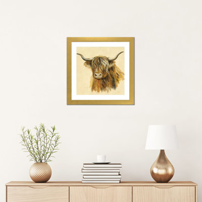 Highland Animal Cow