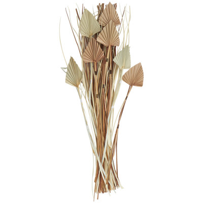 Munich Dried Plant Palm Leaf Decor Brown Natural Foliage with Grass