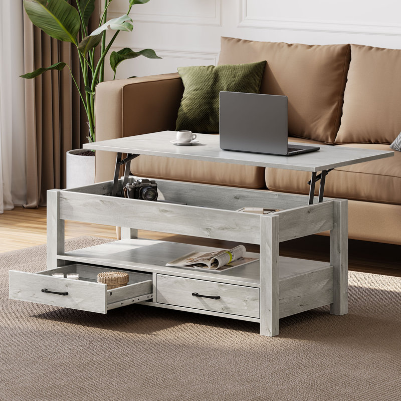 Table basse avec rangement, table basse à plateau relevable pour le salon, Gris, H 18,2 po x l 39,4 po x P 19,7 po