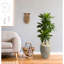 Silvie 48'' Faux Foliage Plant in Ceramic Planter